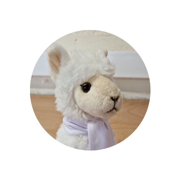 Image of a fluffy llama toy